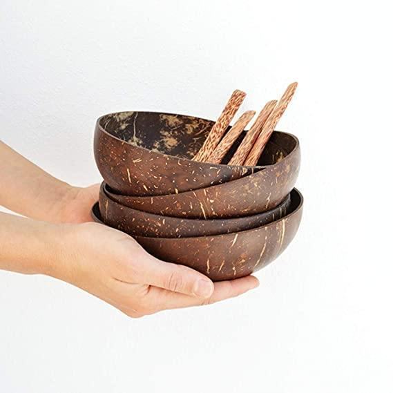 Coconut Shell Bowls with Spoon Set