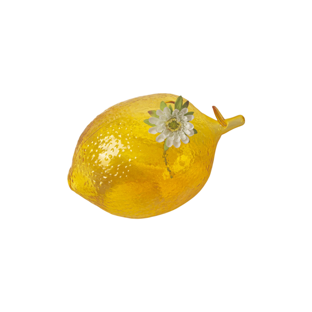 Creative Fruit Hydroponic Glass Vase - Artistic Home Décor