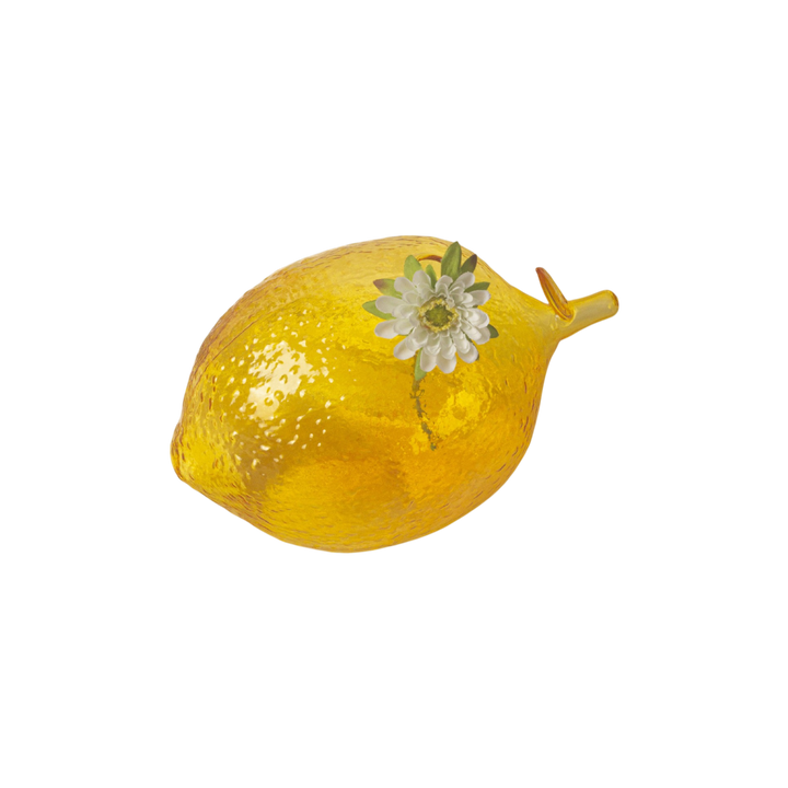 Creative Fruit Hydroponic Glass Vase - Artistic Home Décor