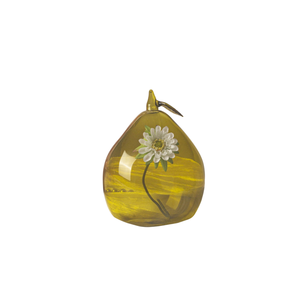 Creative Fruit Hydroponic Glass Vase - Artistic Home Décor