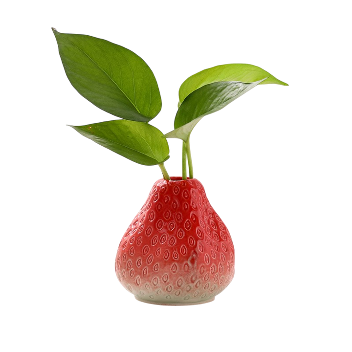 Creative Strawberry Ceramic Vase