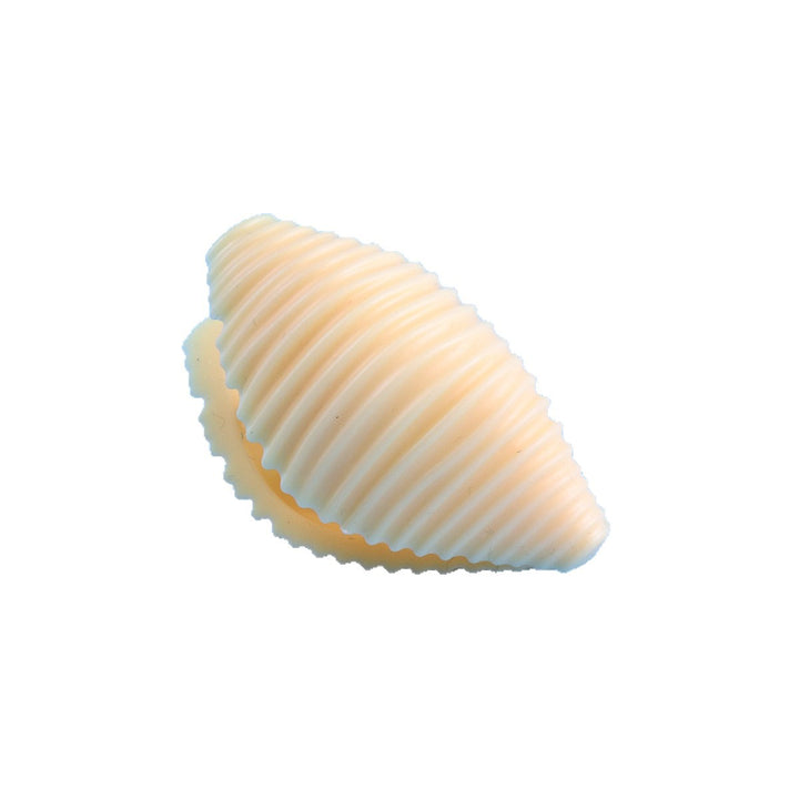 Creative Conchiglie Pasta Shape Bag Clip – Food Sealing Clip