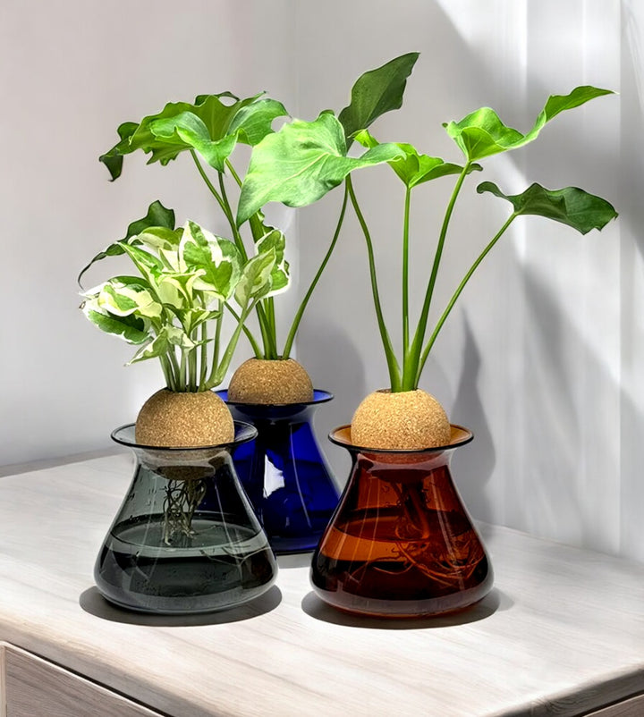 Creative Hydroponic Plant Glass Vase