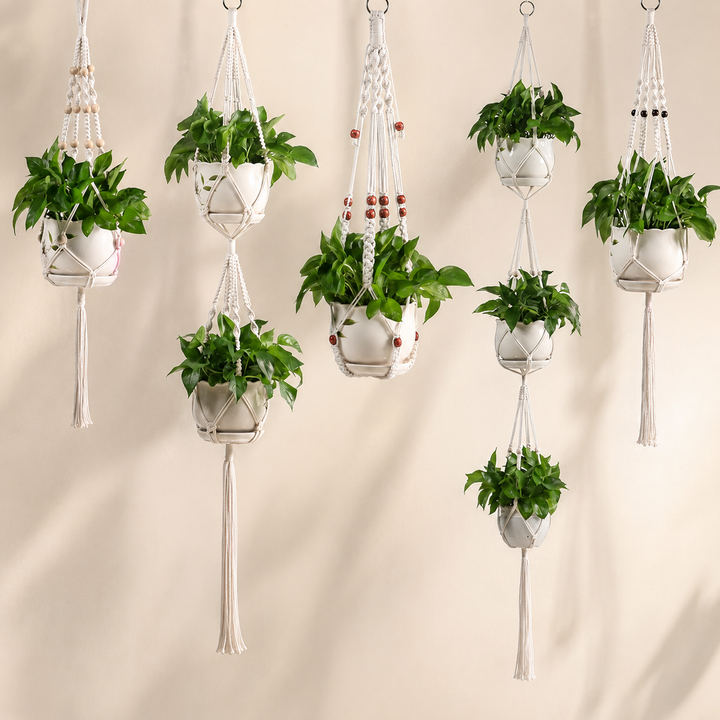 Macrame Hanging Plant Holder Cotton Rope Basket