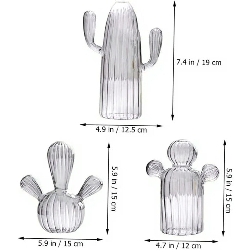 Black & Clear Mini Cactus Vase – Glass Hydroponic Planter