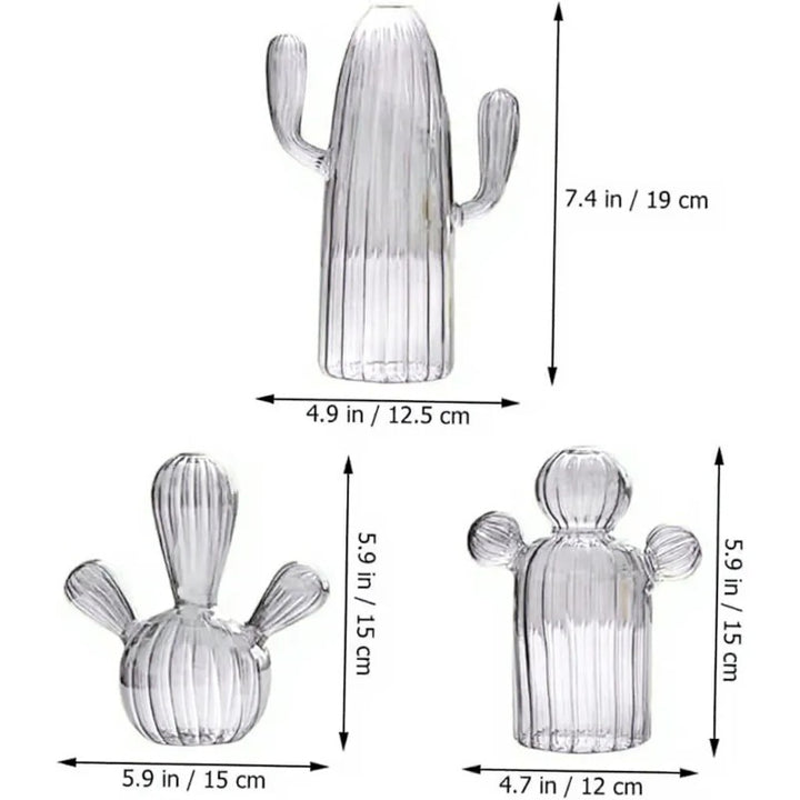 Black & Clear Mini Cactus Vase – Glass Hydroponic Planter