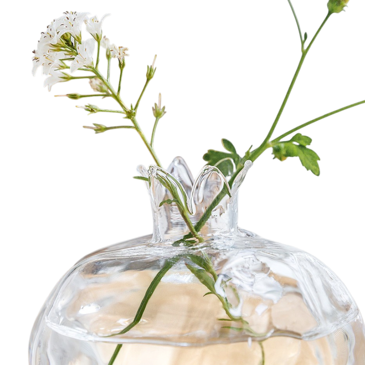 Mini Glass Pomegranate Vase – Elegant Hydroponic Table Vase