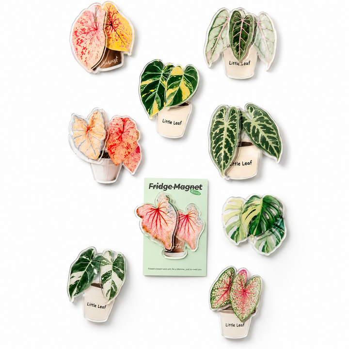 Tropical Plant Fridge Magnet | Rotating Acrylic Magnet