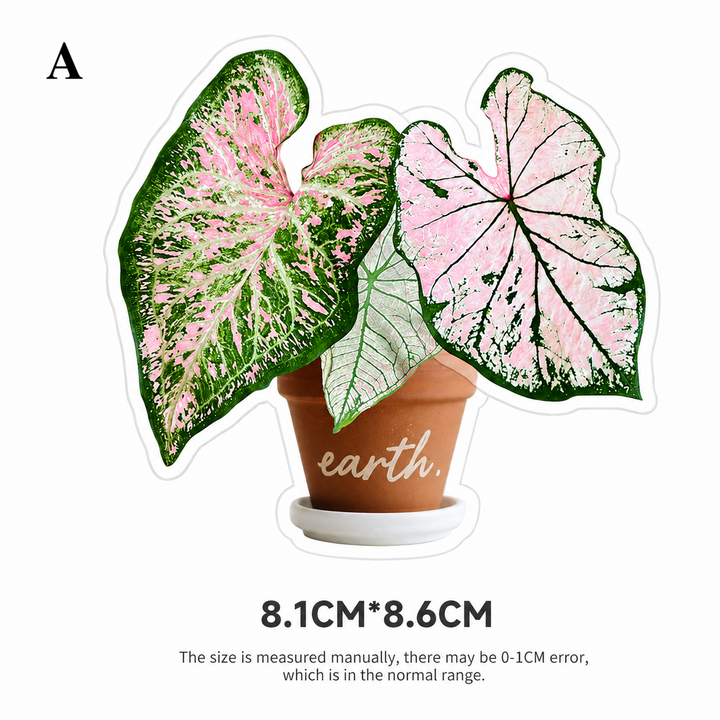 Tropical Plant Fridge Magnet | Rotating Acrylic Magnet