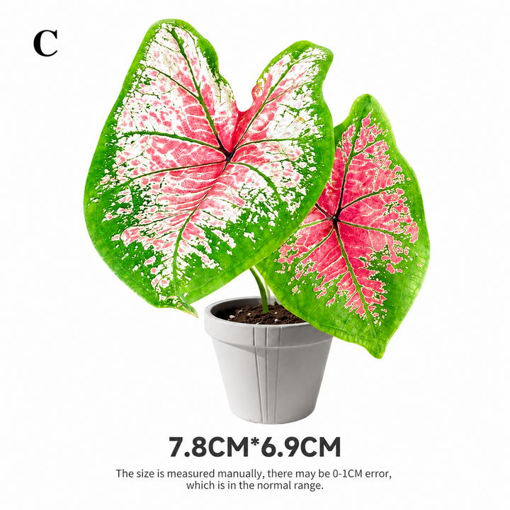 Tropical Plant Fridge Magnet | Rotating Acrylic Magnet
