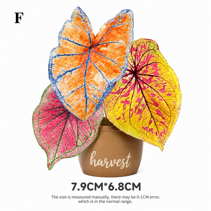 Tropical Plant Fridge Magnet | Rotating Acrylic Magnet