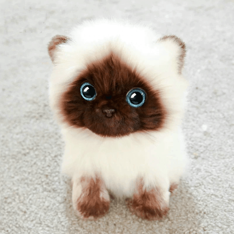 Blue Eyes Cat Plush toy - huemabe - Creative Home Decor