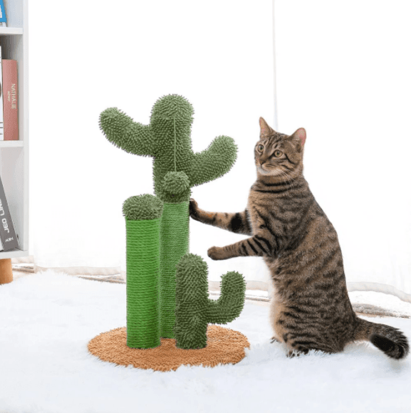 Cactus Cat Scratcher Posts with Ball - huemabe - Creative Home Decor
