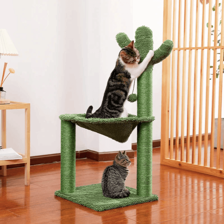 Cat scratching post store cactus