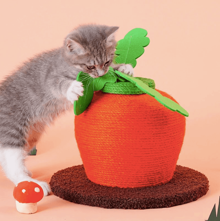 Carrot Cat Scratching Post - huemabe - Creative Home Decor