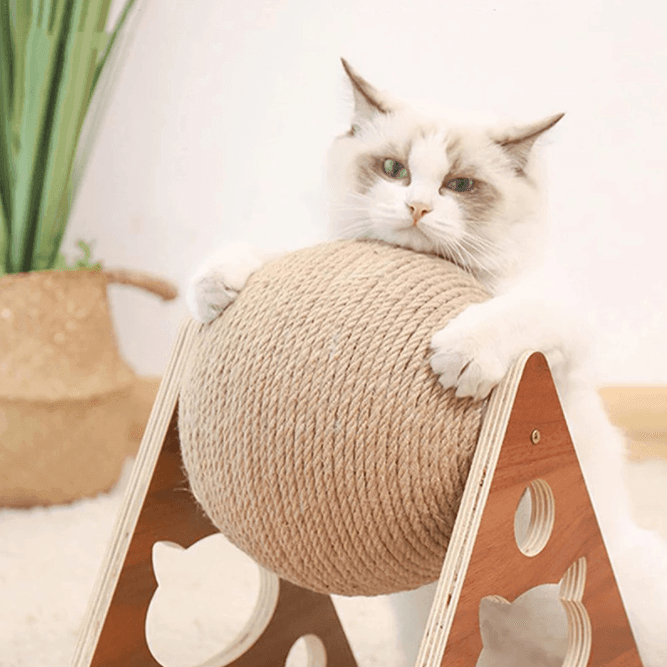 Cat Scratching Ball Toy - huemabe - Creative Home Decor