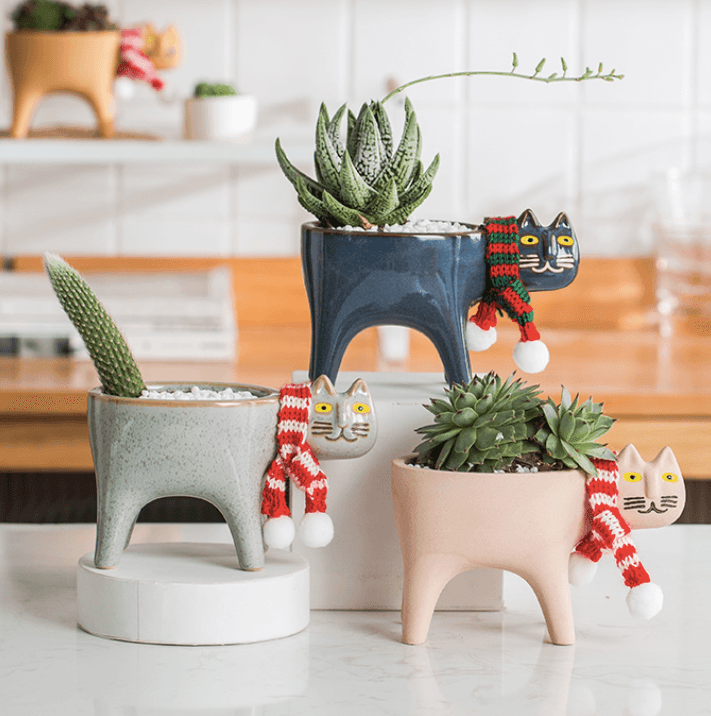 Cat Succulent Pots with Drainage - huemabe - Creative Home Decor