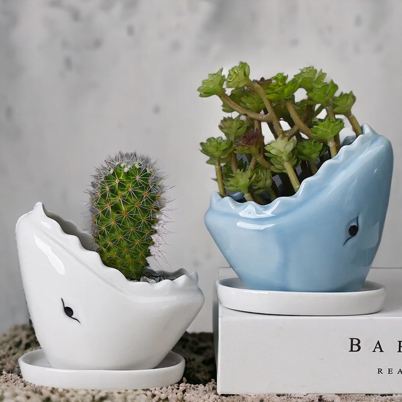 Ceramic Shark Flower Plant Pot with Tray - huemabe - Creative Home Decor