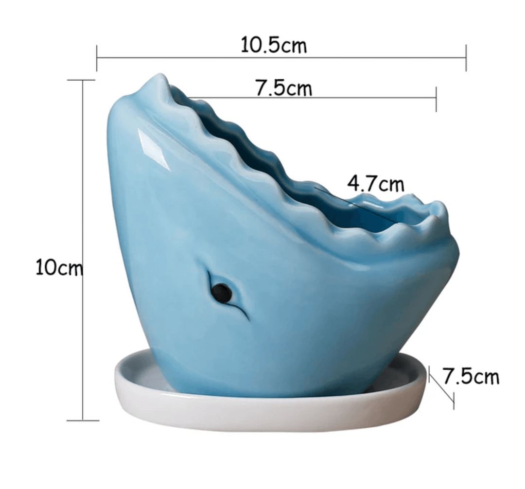 shark plant pot Ceramic Shark Flower Plant Pot with Tray – huemabe