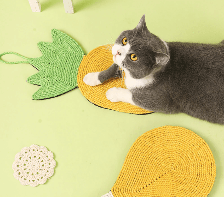 Creative Cat Scratching Board - huemabe - Creative Home Decor