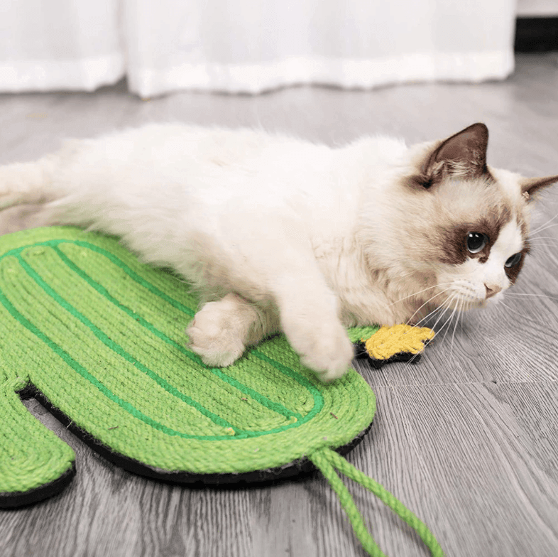 Creative Cat Scratching Board - huemabe - Creative Home Decor