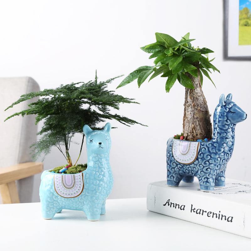 Cute Animal Succulent Flower Pot - huemabe - Creative Home Decor