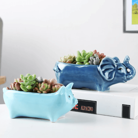 Cute Animal Succulent Flower Pot - huemabe - Creative Home Decor