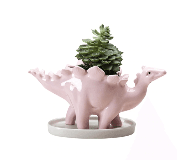 Dinosaur Stegosaurus Flower Pot - huemabe - Creative Home Decor