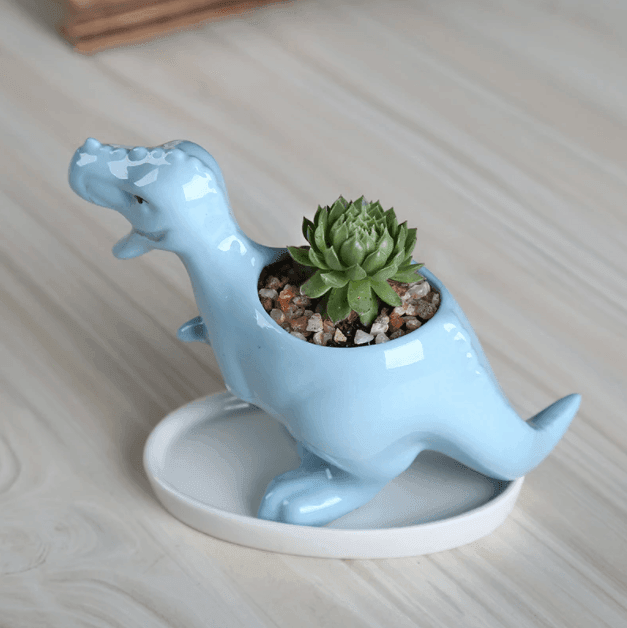 Dinosaur Succulent Flower Pot - huemabe - Creative Home Decor