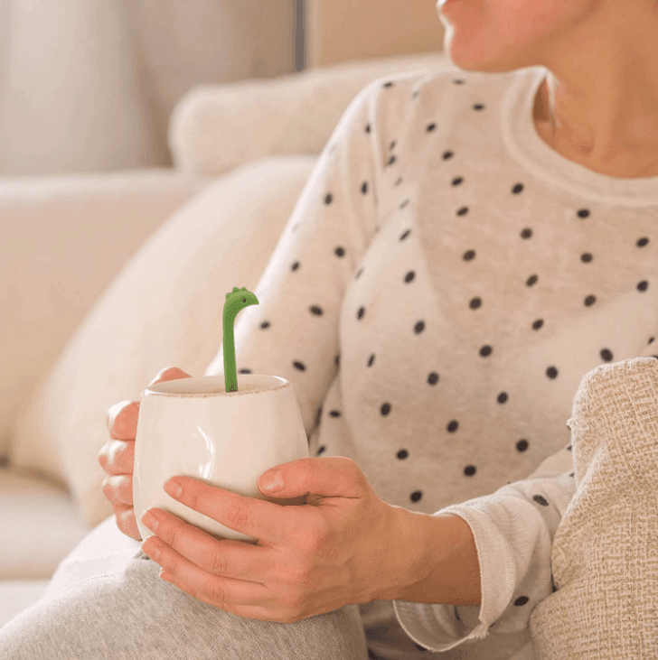 Dinosaur Tea Infusers with Long Handle - huemabe - Creative Home Decor