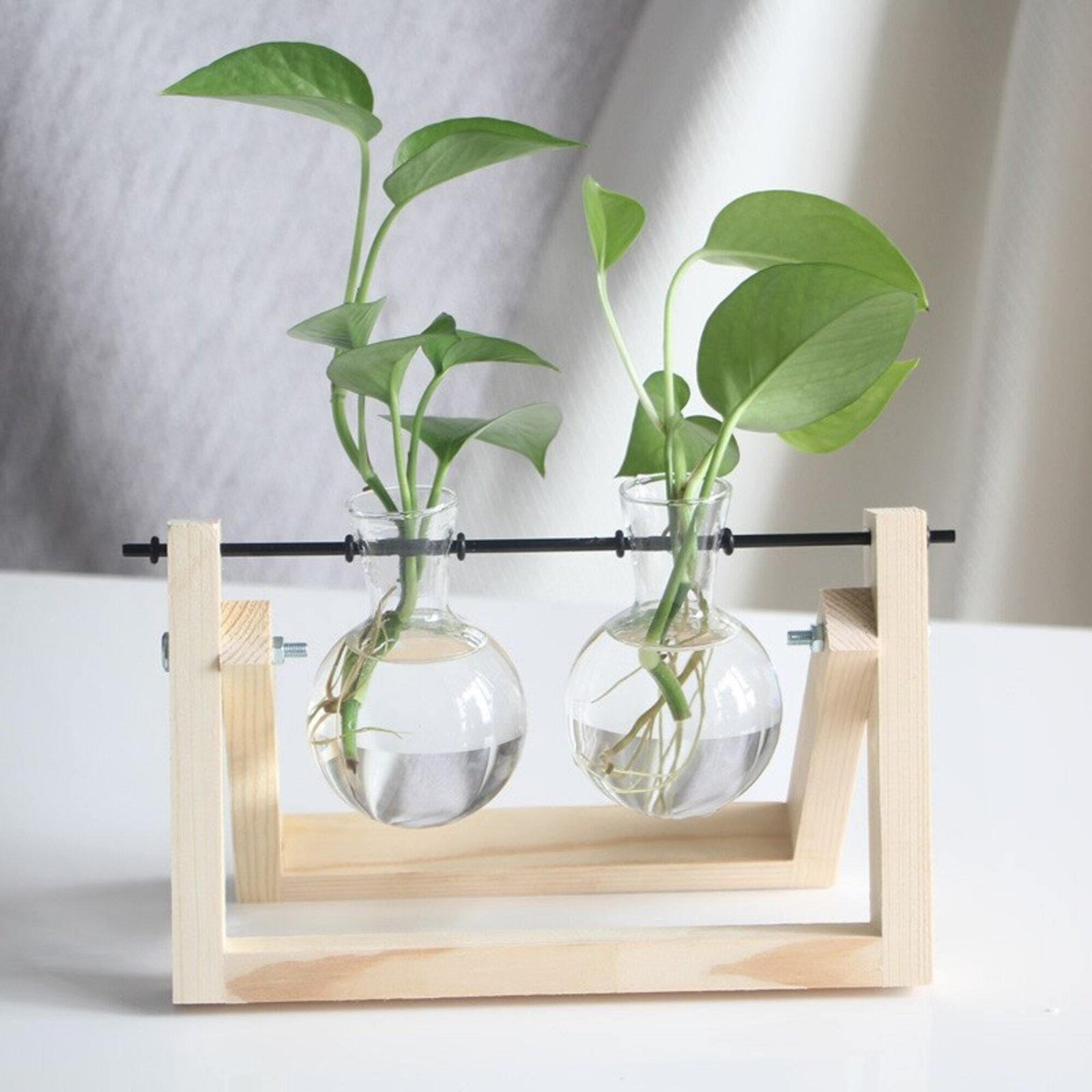 Glass Planter Bulb Vase with Light Wooden Stand - huemabe - Creative Home Decor