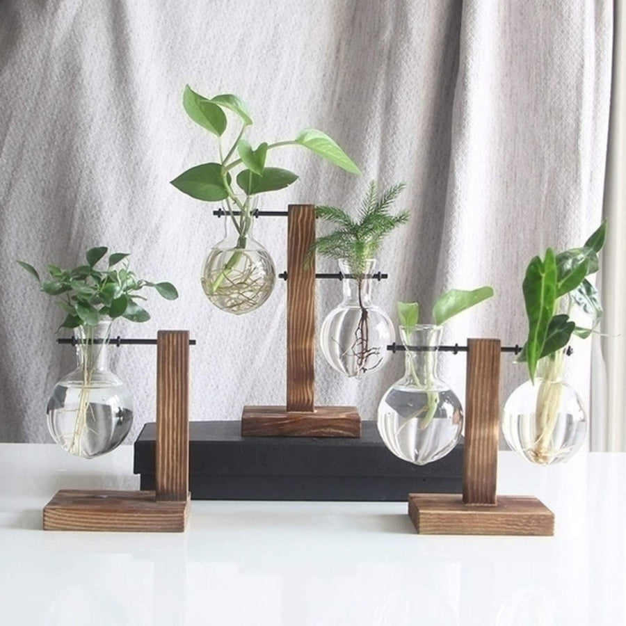 Glass Planter Bulb Vase with Wooden Stand - huemabe - Creative Home Decor