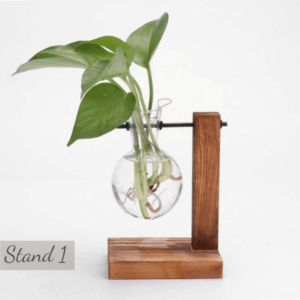 Glass Planter Bulb Vase with Wooden Stand - huemabe - Creative Home Decor