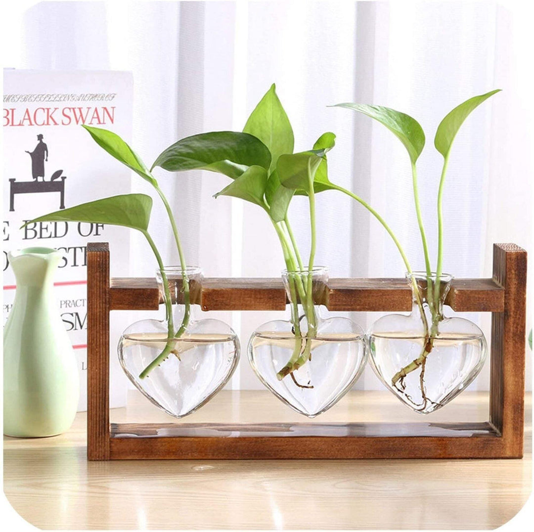 Heart-shaped Glass Planter Bulb Vase with Wooden Stand - huemabe - Creative Home Decor