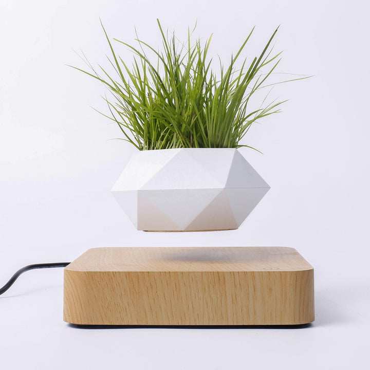 Levitating Magnetic Floating Planter Pot - huemabe - Creative Home Decor