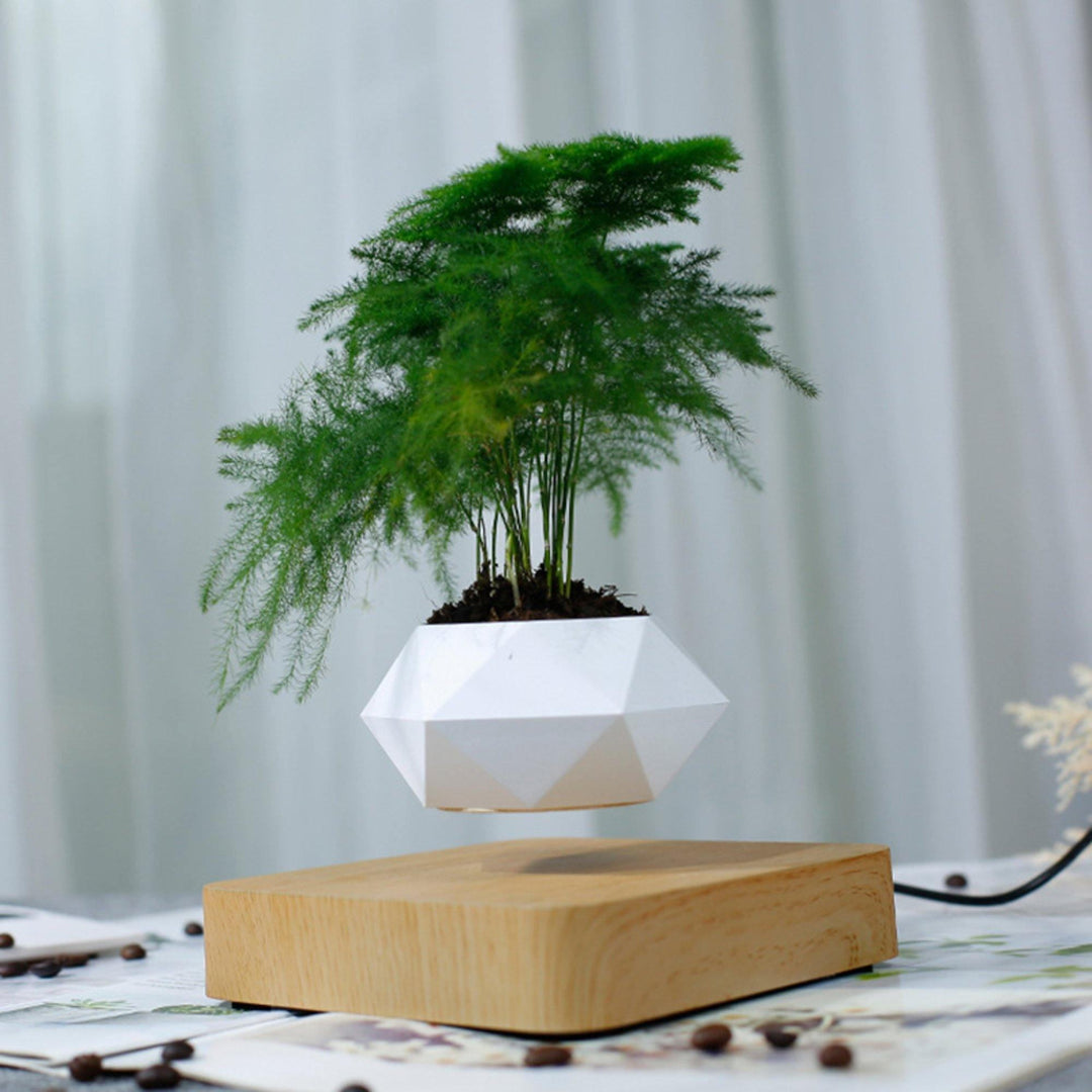 magnetic plant pot holder Levitating Magnetic Floating Planter Pot – huemabe