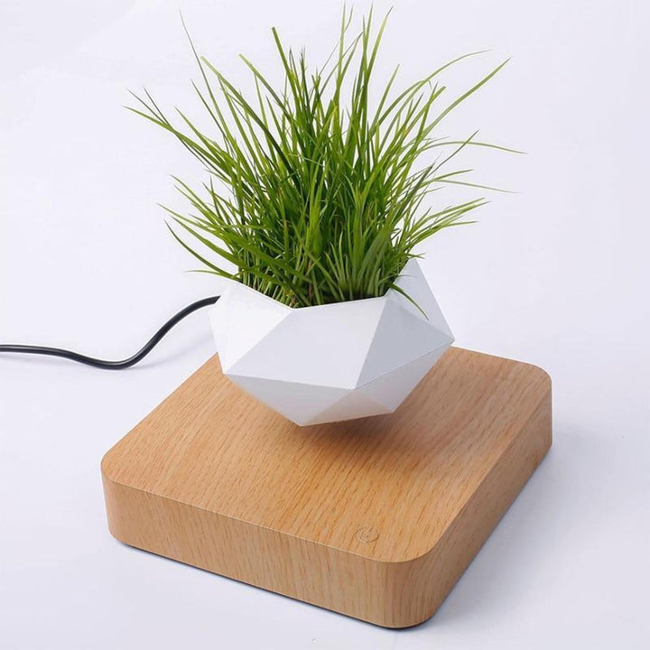 Levitating Magnetic Floating Planter Pot - huemabe - Creative Home Decor