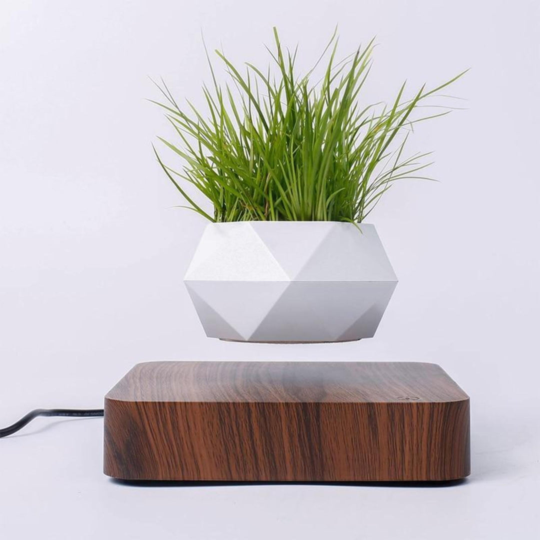 Levitating Magnetic Floating Planter Pot - huemabe - Creative Home Decor