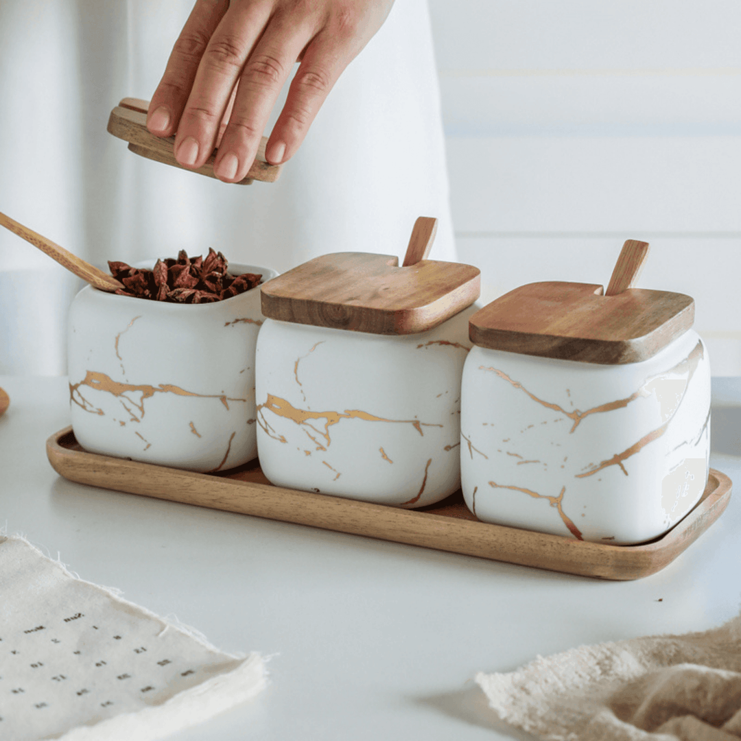Porcelain Kitchen Seasoning Set Condiment Spice Container