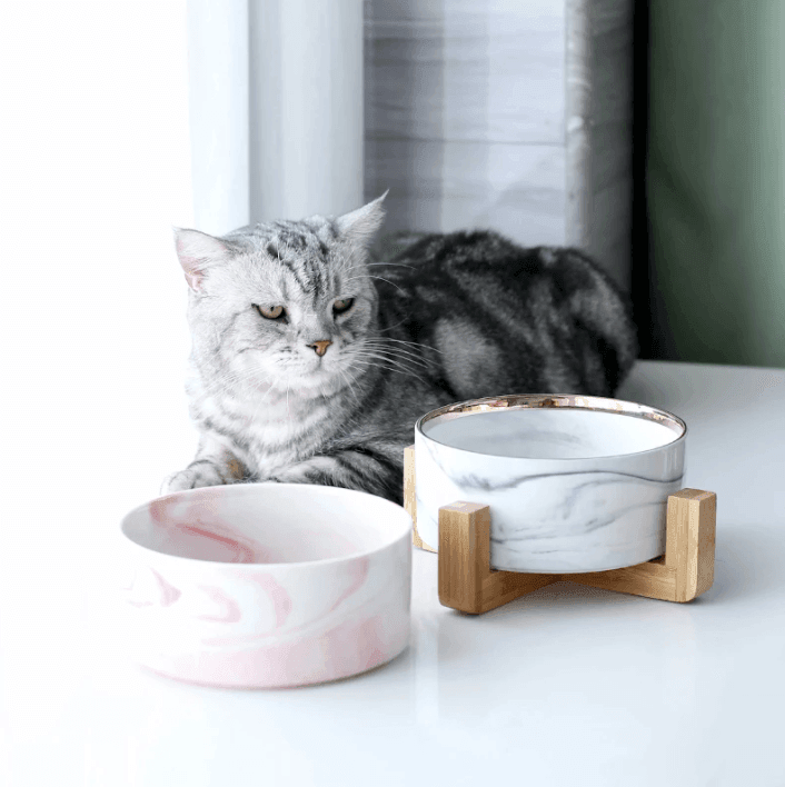 Marbling Ceramic Dog Cat Food Bowl - huemabe - Creative Home Decor