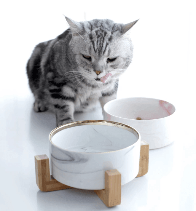 Marbling Ceramic Dog Cat Food Bowl - huemabe - Creative Home Decor