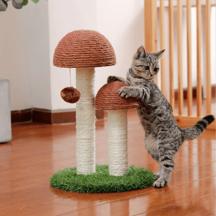 Mushroom Cat Scratching Post with Ball - huemabe - Creative Home Decor