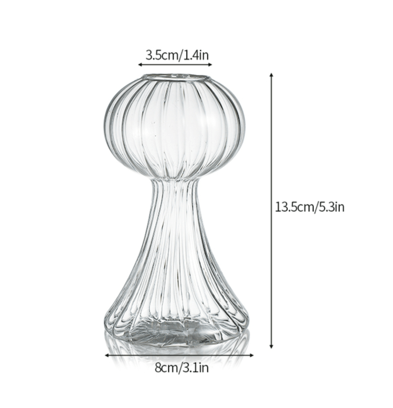 Nordic Hydroponic Glass Vase - huemabe - Creative Home Decor