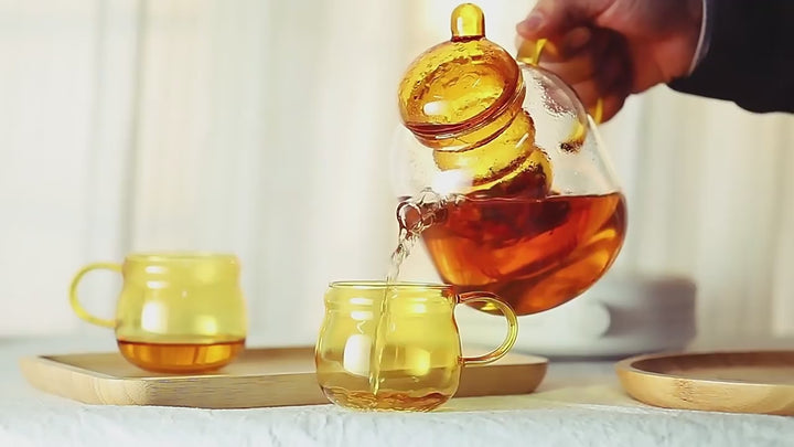 Nordic Minimalist Borosilicate Glass Teapot | Water Carafe