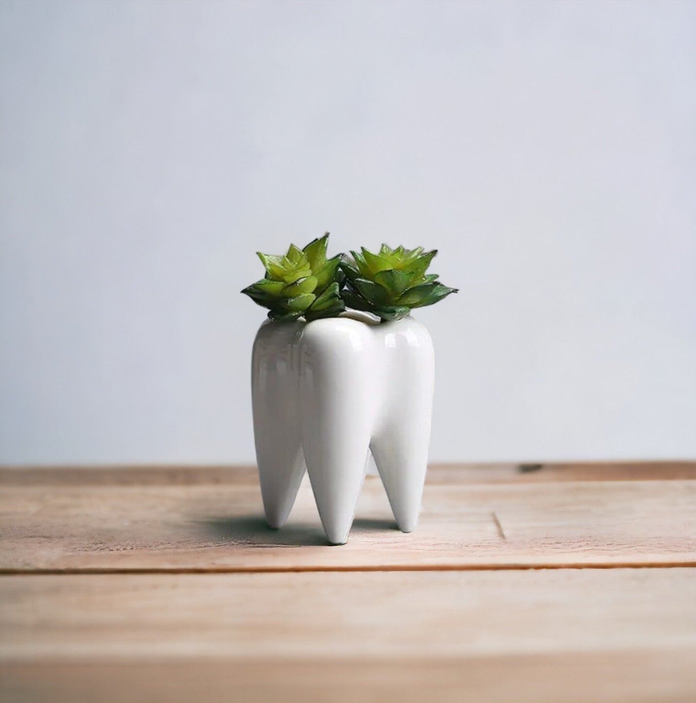Tooth Shape Ceramic Plant Pot - huemabe - Creative Home Decor