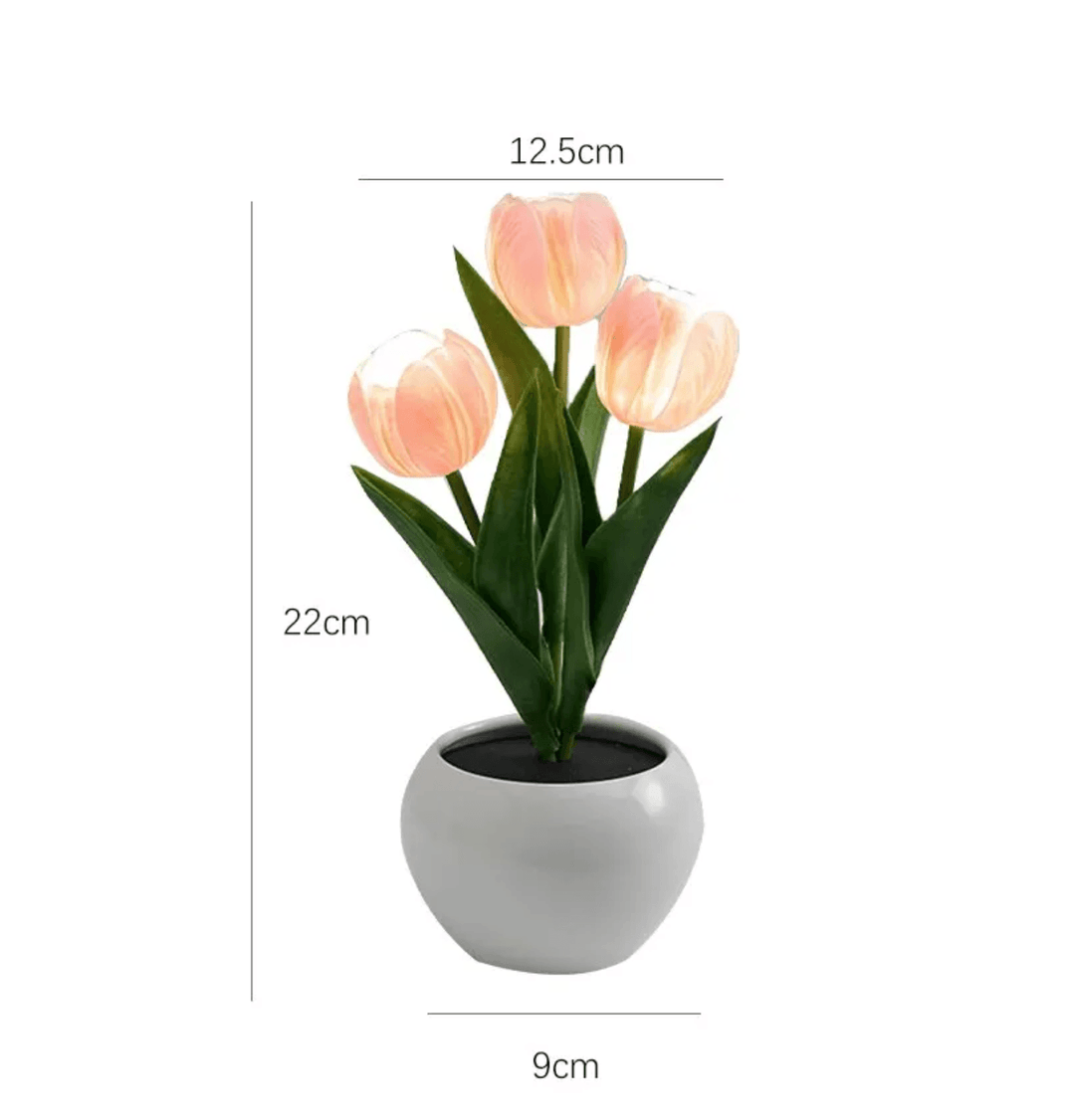 Tulip Design LED Bedside Table Lamp | USB Charging - huemabe - Creative Home Decor